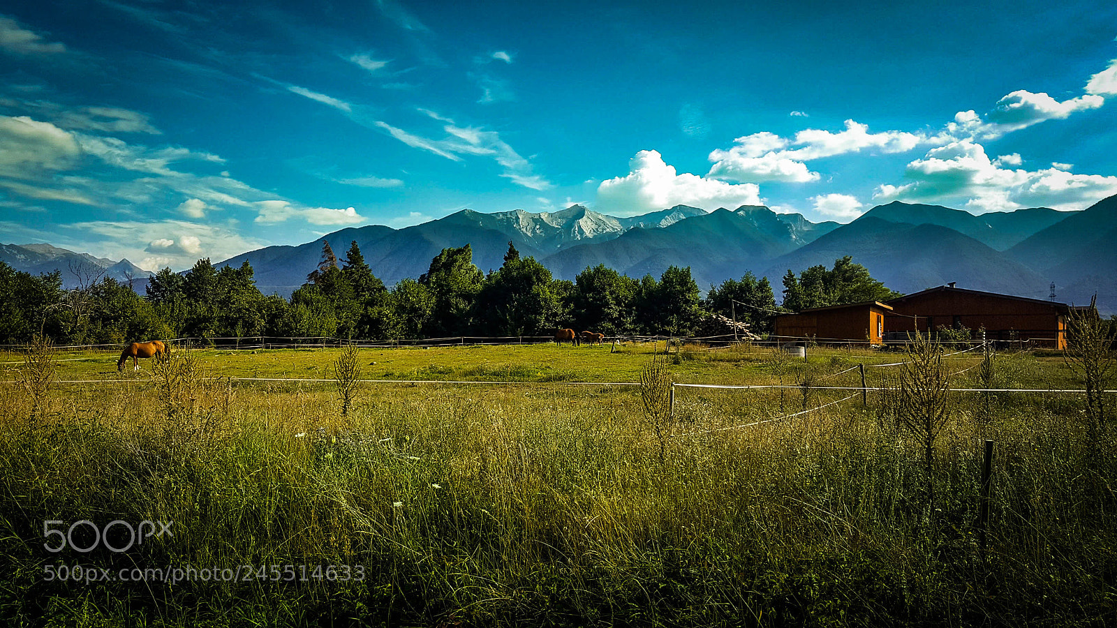 Samsung GALAXY S6 edge sample photo. Bulgaria photography