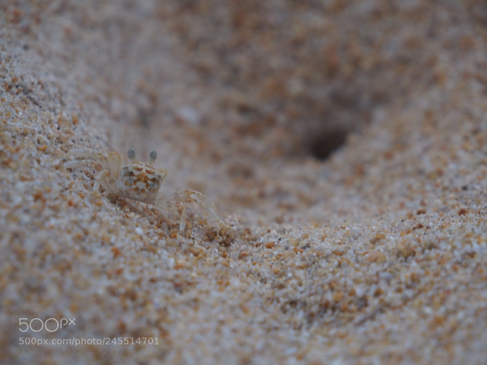 Olympus PEN E-P5 sample photo. Mai kao beach @puket photography