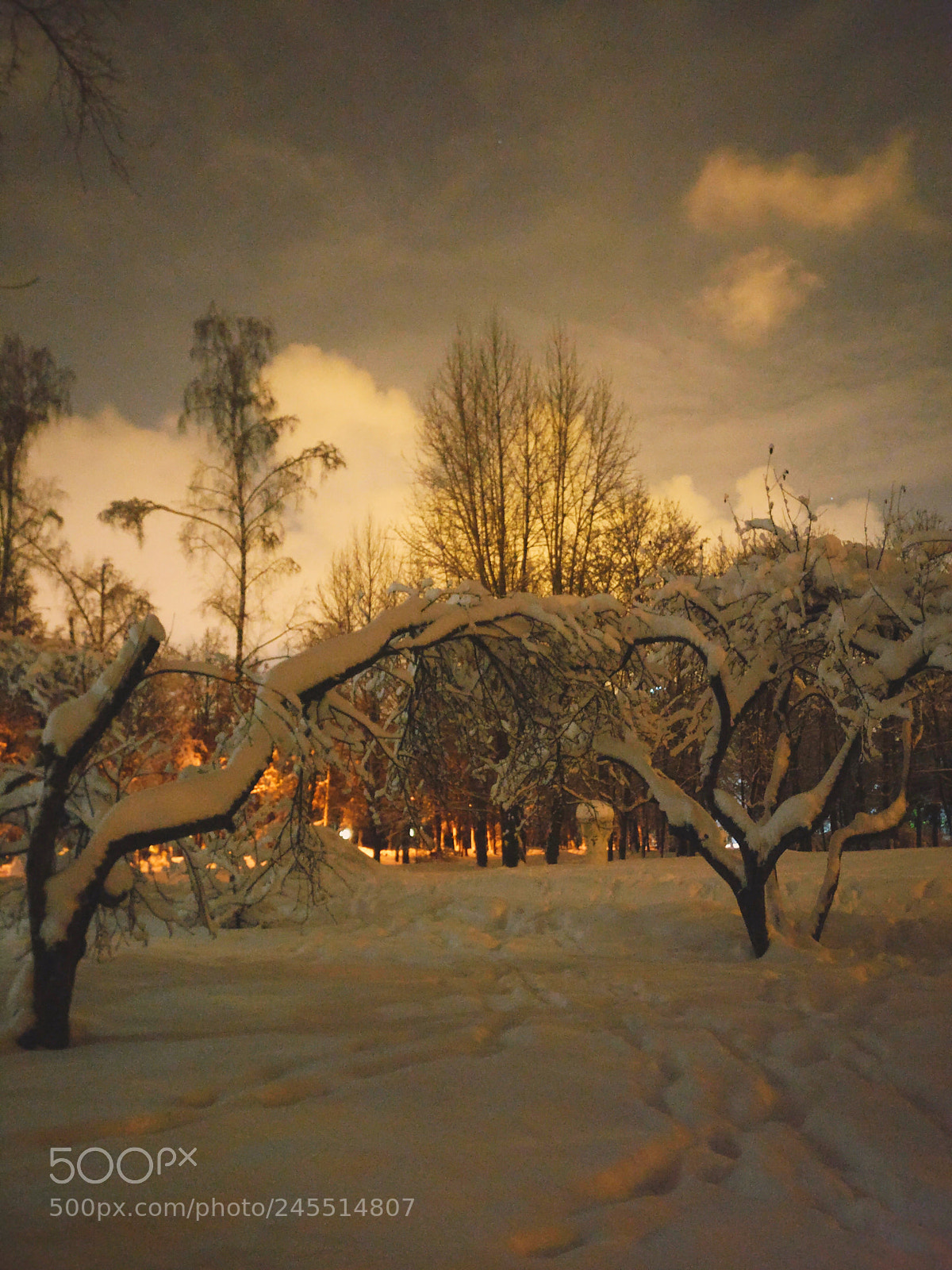 OnePlus A3003 sample photo. Memorial park (moscow winter 2018) photography