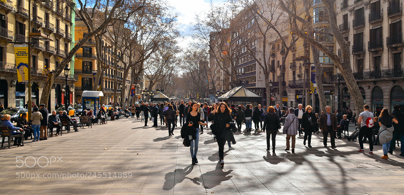 Nikon D610 sample photo. La rambla photography