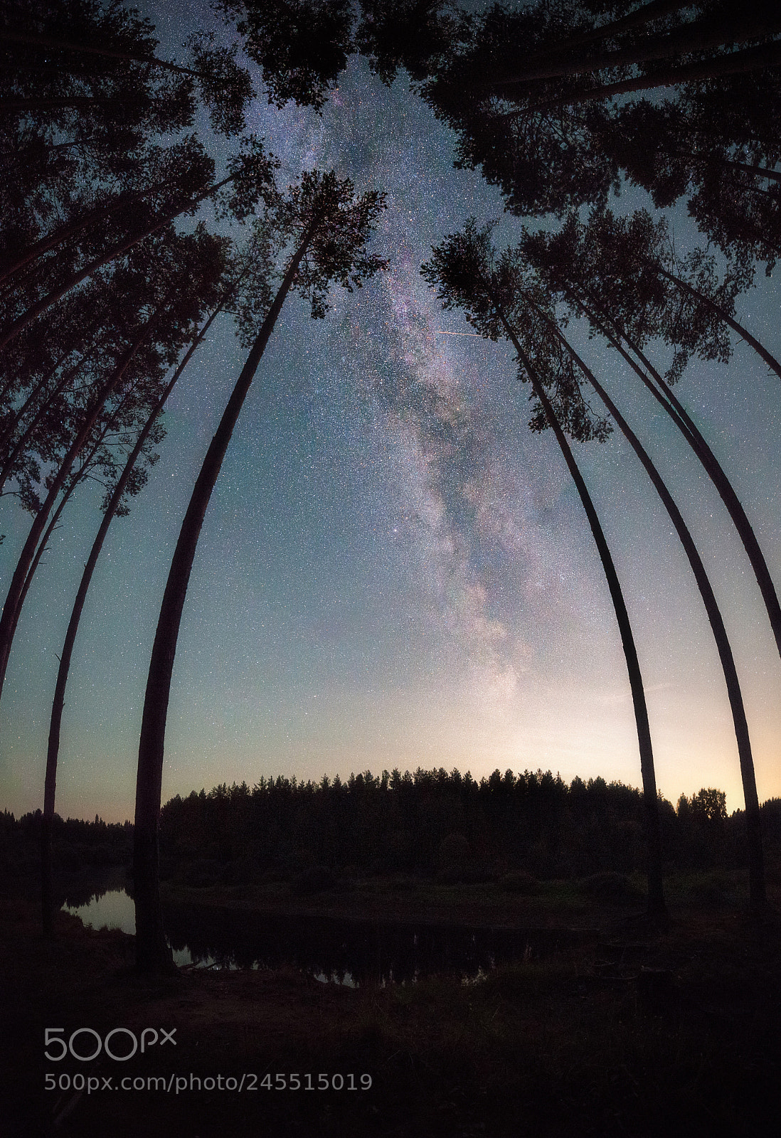Nikon D610 sample photo. 842. starry night photography