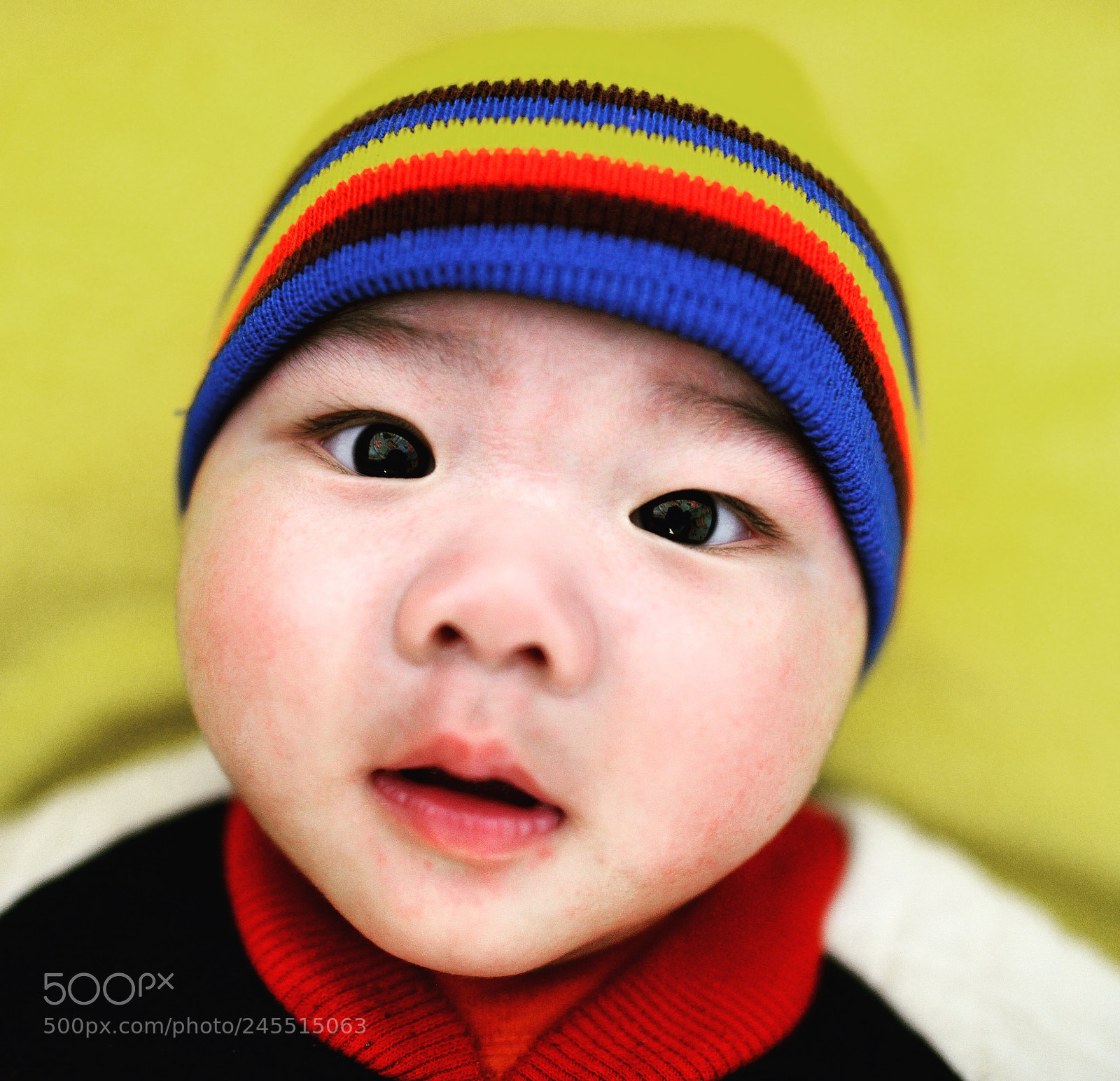 Nikon D800 sample photo. Untitled photography