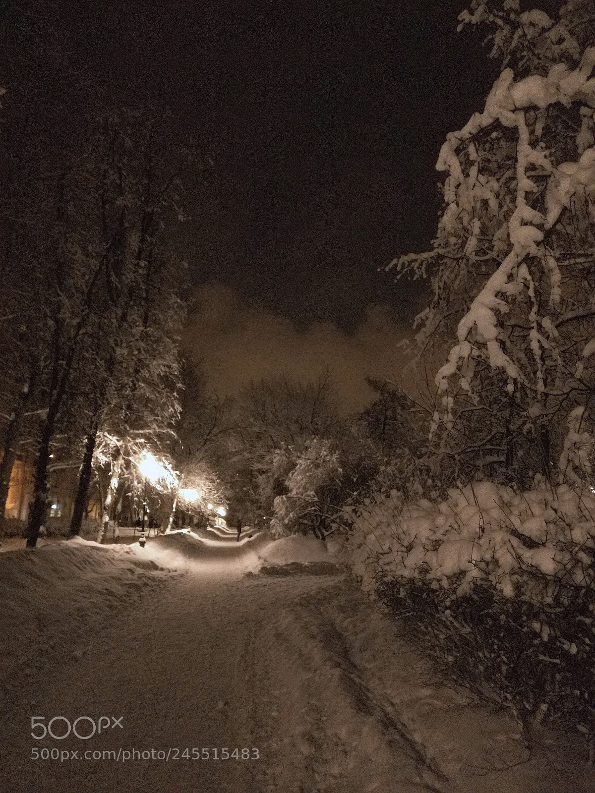 OnePlus A3003 sample photo. Birch grove park, winter 2018 photography
