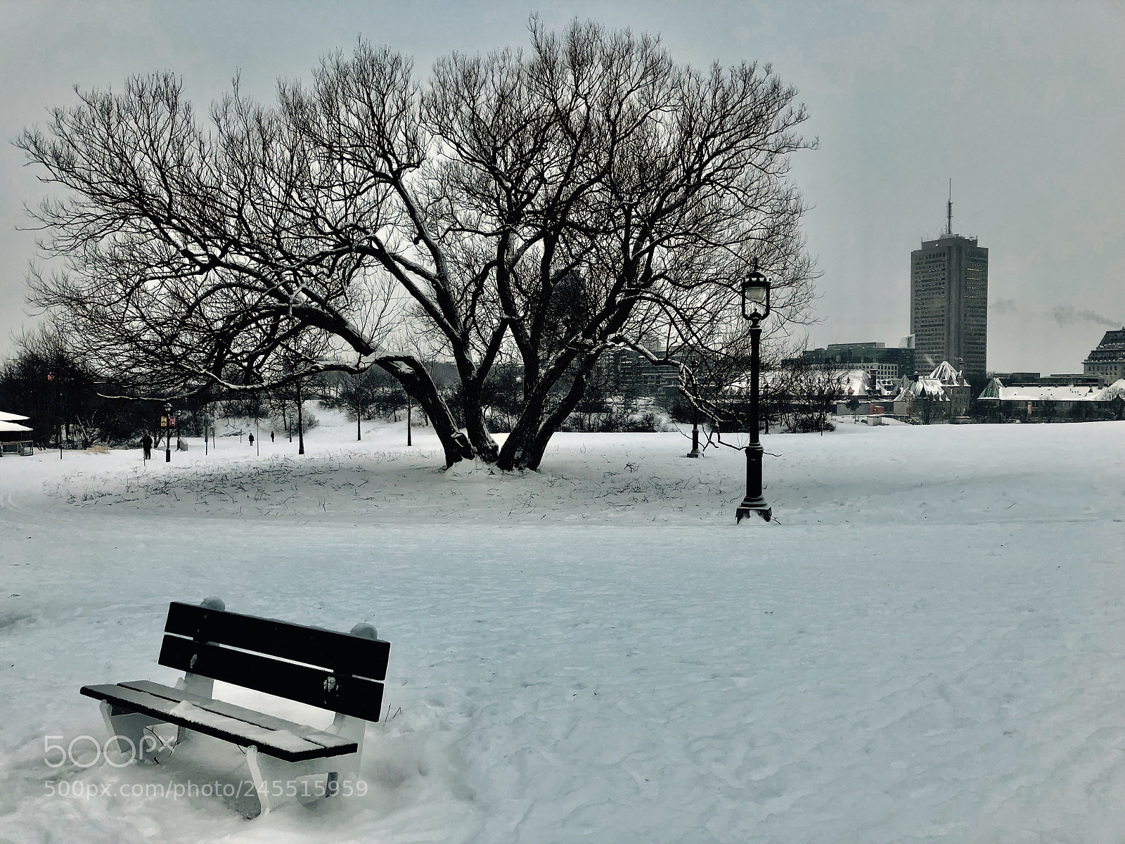 Apple iPhone 8 Plus sample photo. Park bench - quebec photography