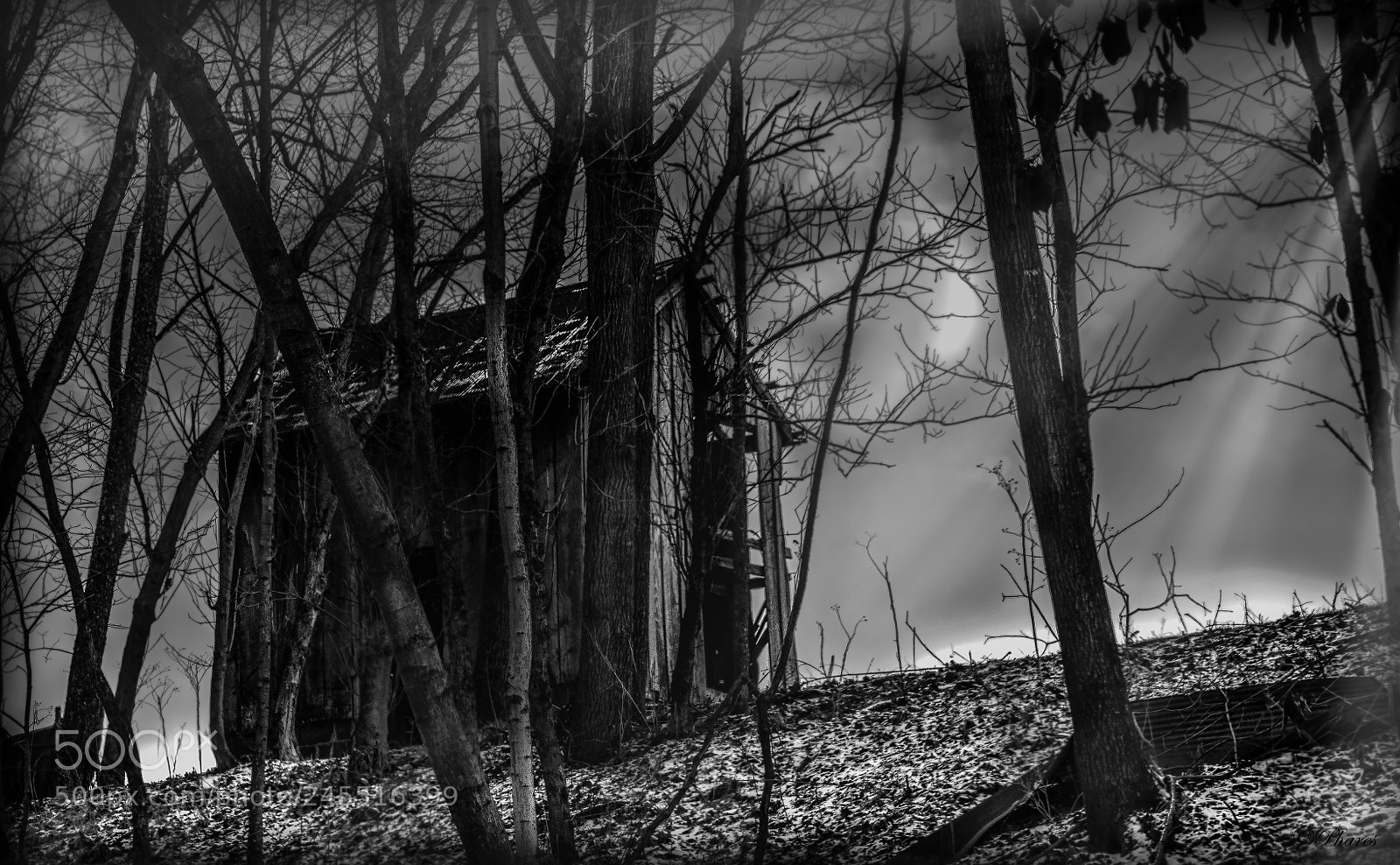 Nikon D7100 sample photo. Thorton's barn b w photography