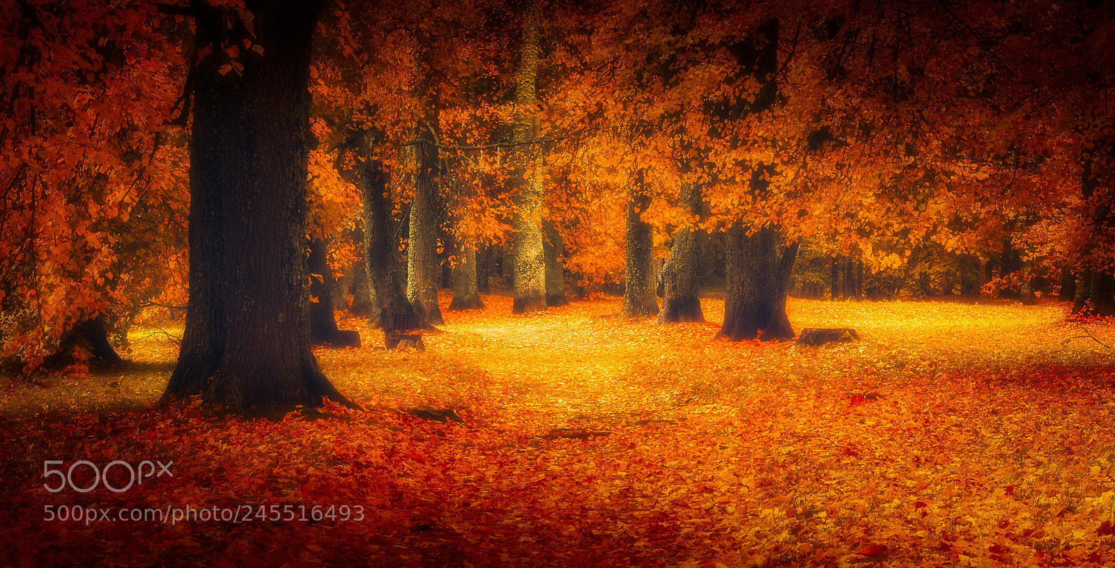 Canon EOS 40D sample photo. Autumn landscape photography