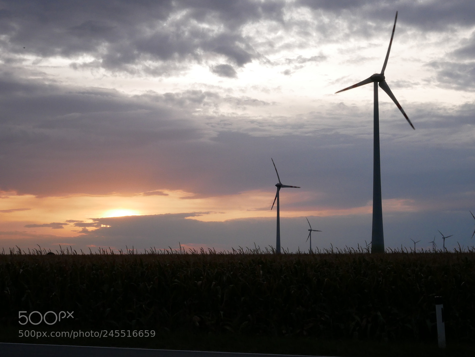 Panasonic Lumix DMC-GX85 (Lumix DMC-GX80 / Lumix DMC-GX7 Mark II) sample photo. Windmills in cloudy sunset photography