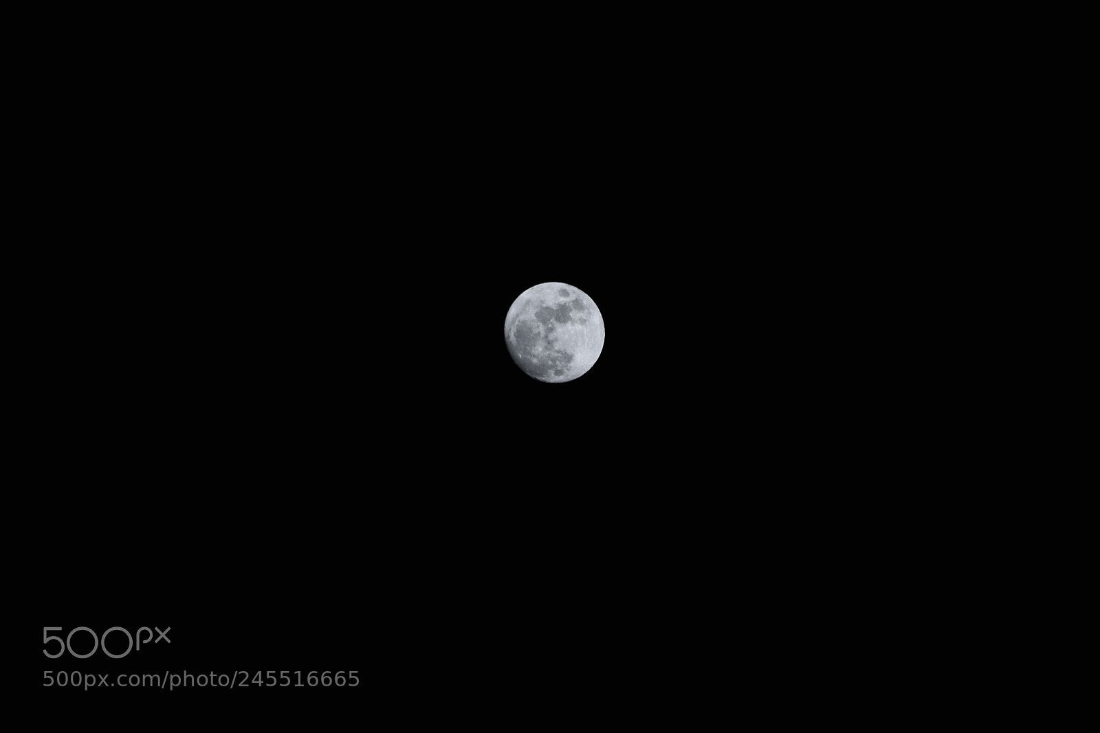 Canon EOS 500D (EOS Rebel T1i / EOS Kiss X3) sample photo. Special and ordinary moon photography