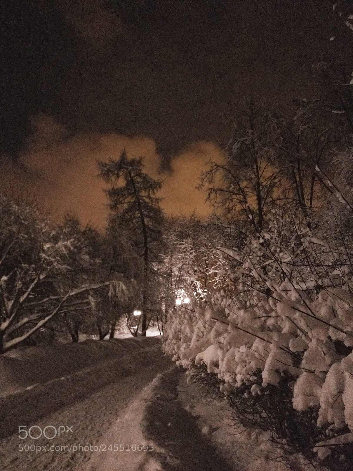 OnePlus A3003 sample photo. Birch grove park 3, winter 2018 photography