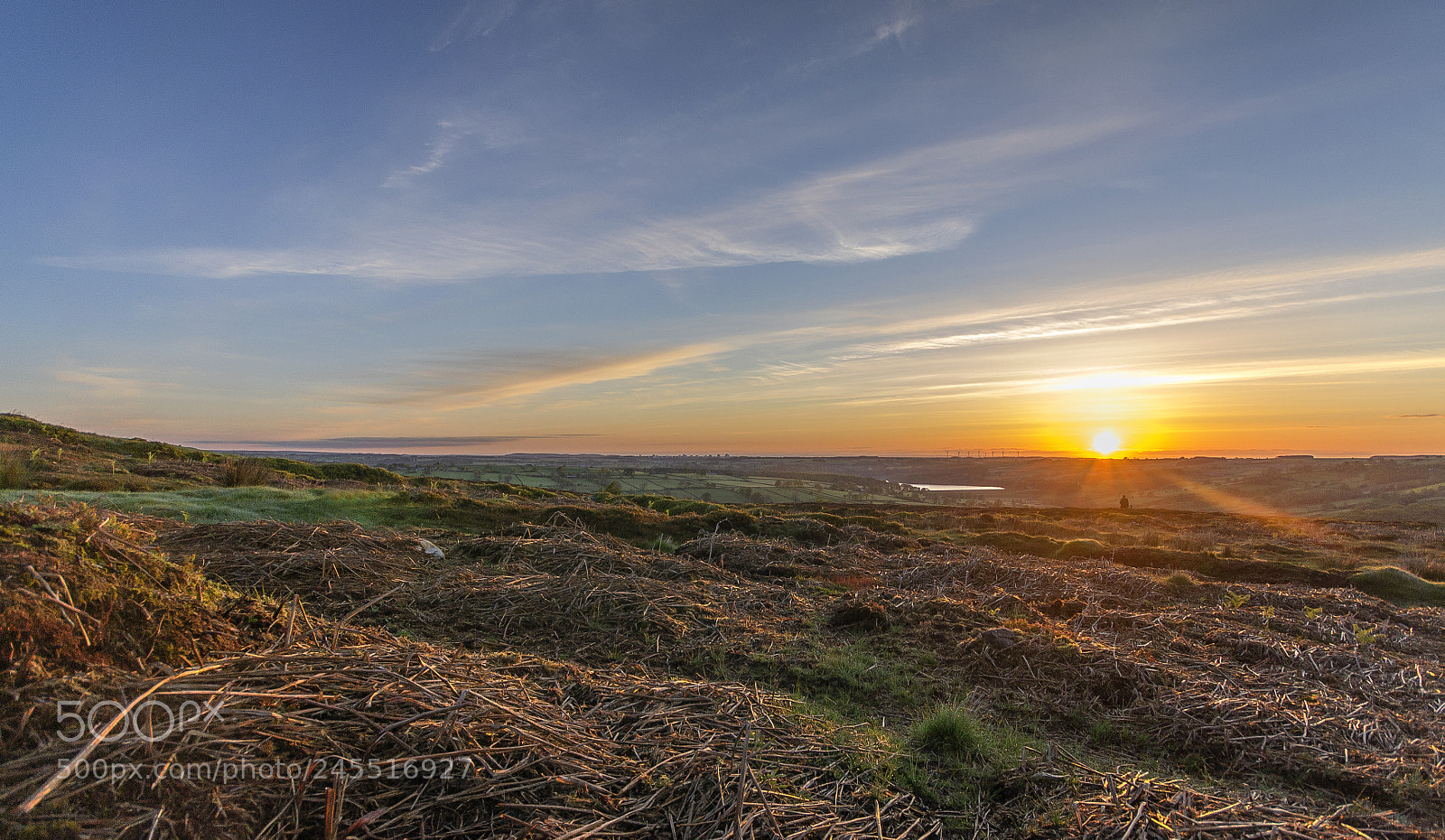 Nikon D3100 sample photo. Yorkshire sunrise photography
