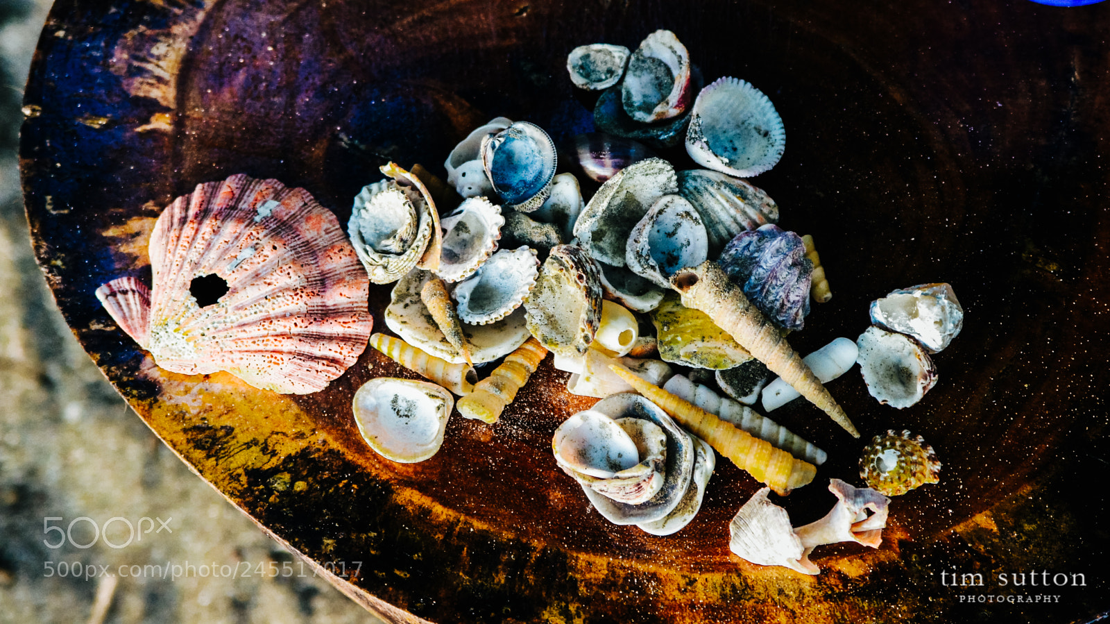 Sony SLT-A55 (SLT-A55V) sample photo. Still life with sea photography