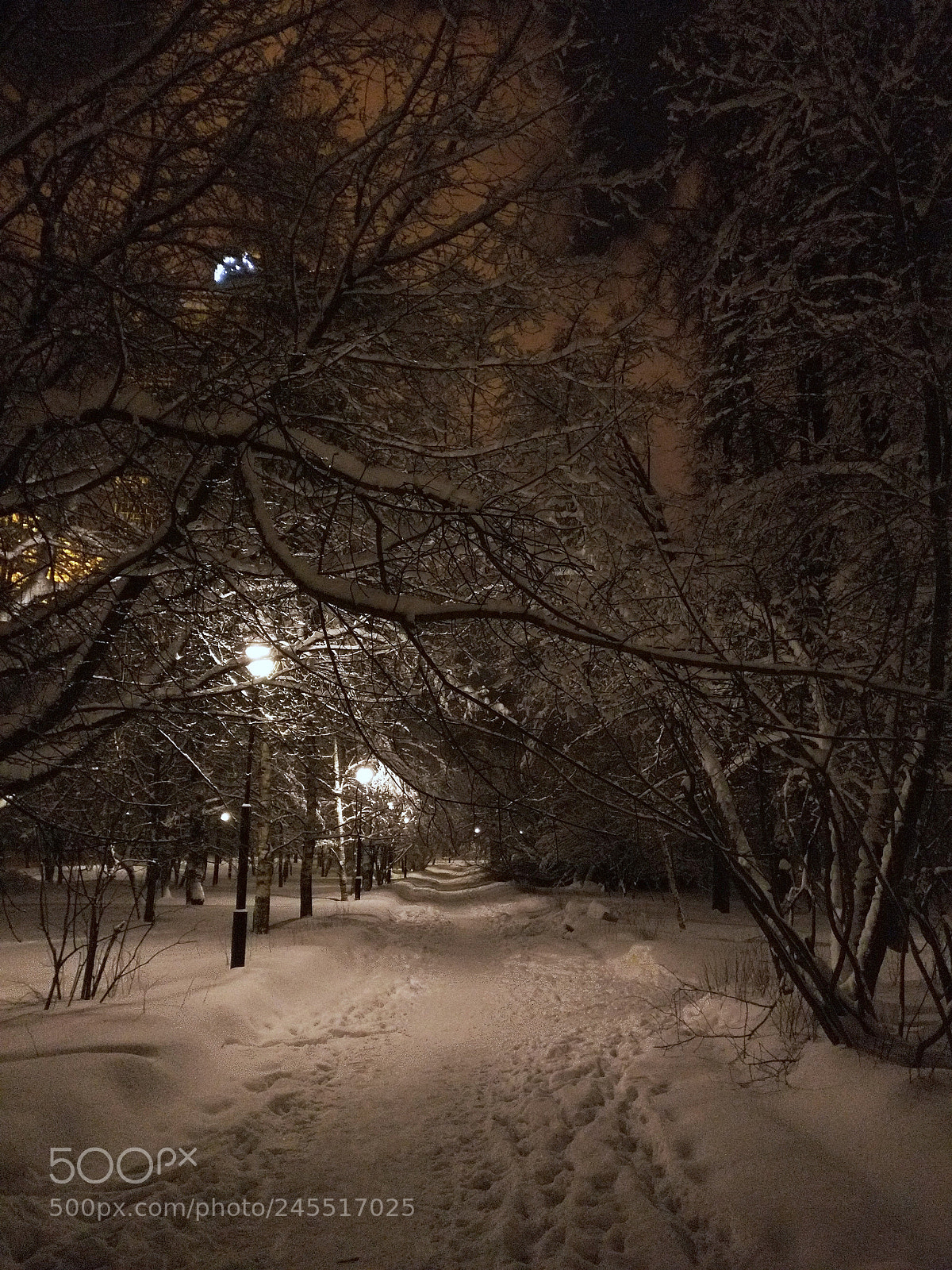 OnePlus A3003 sample photo. Birch grove park, winter 2018 photography