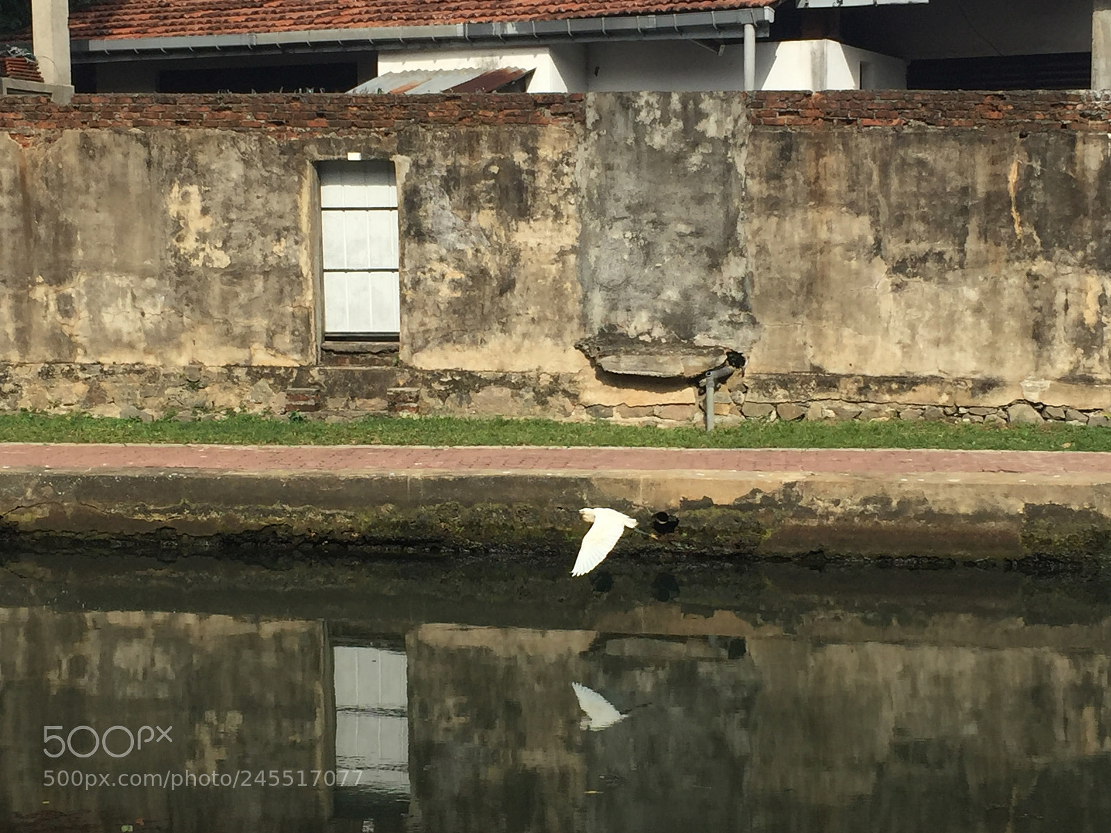 Apple iPhone 6 sample photo. 兰卡 photography