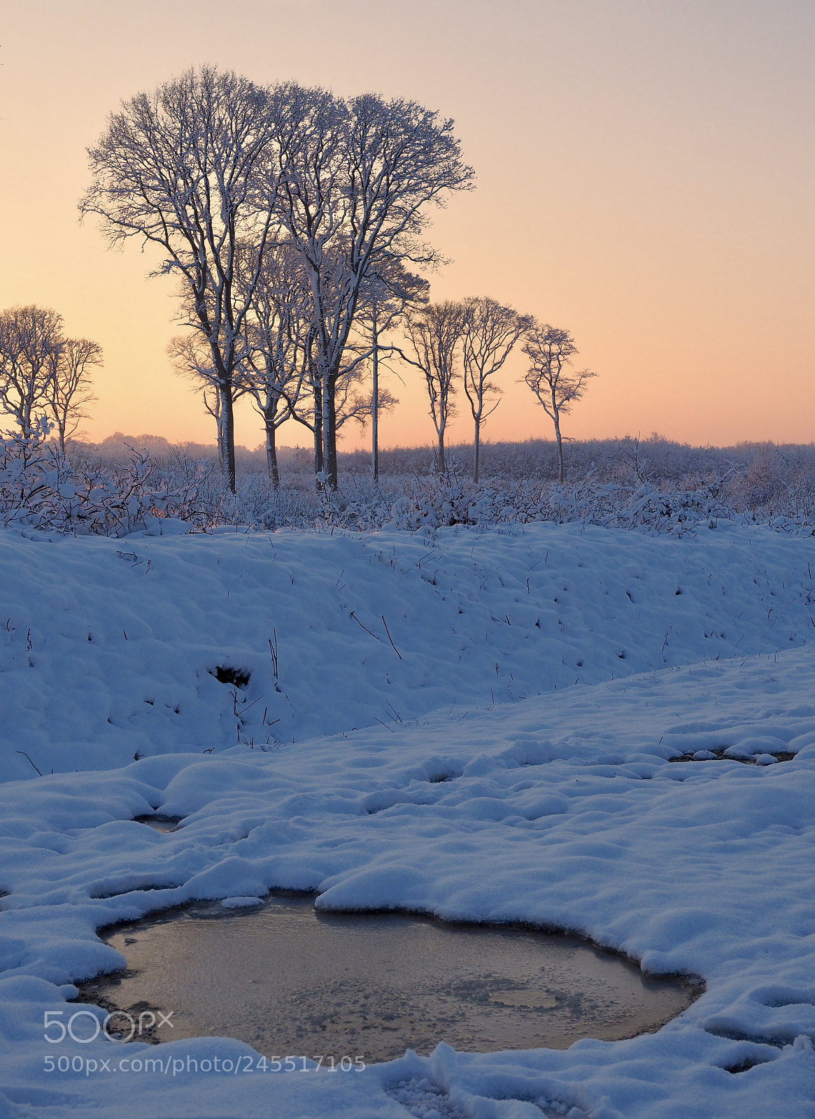 Olympus OM-D E-M1 Mark II sample photo. Winter sunrise photography