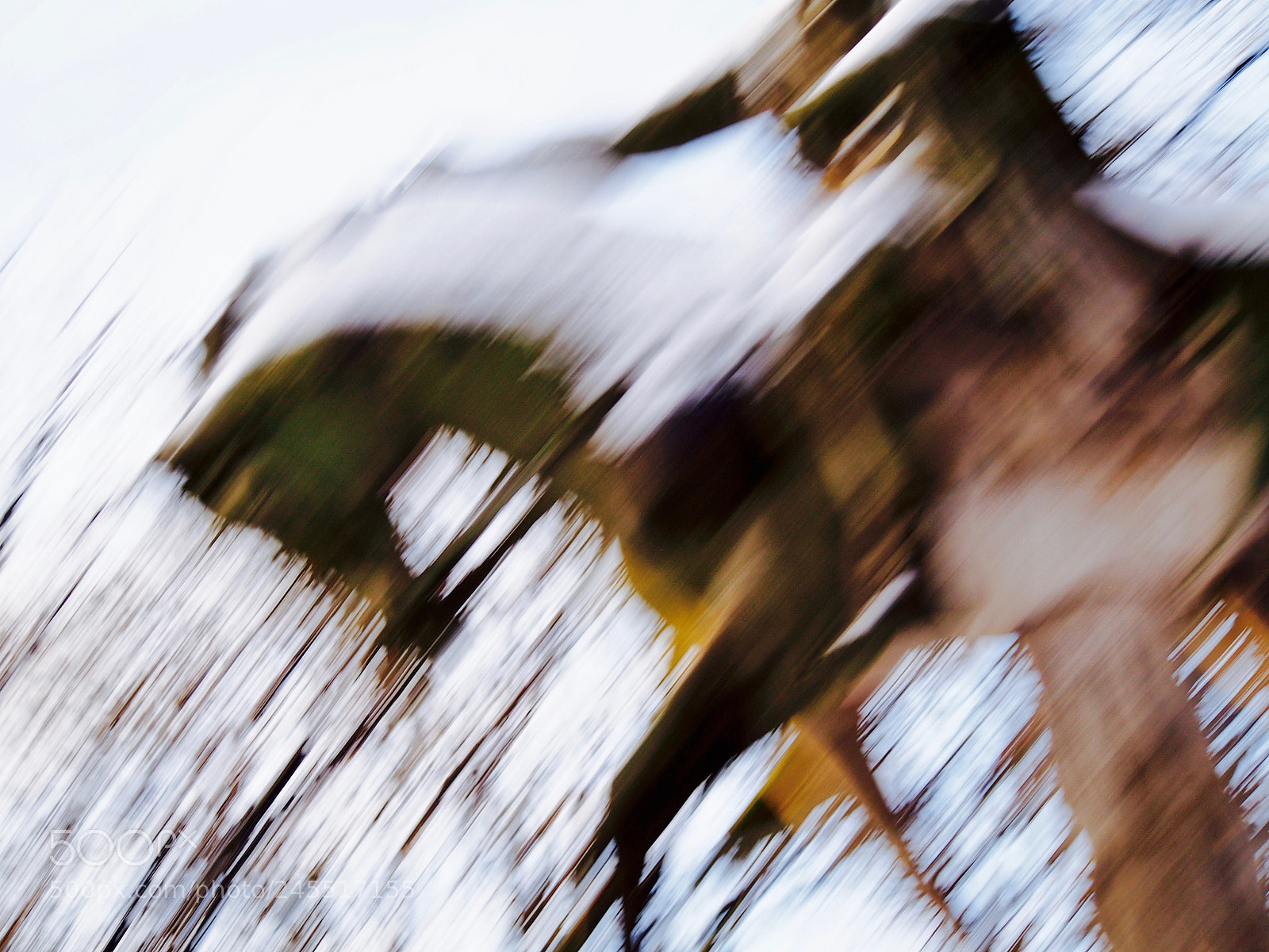 Olympus PEN E-PL6 sample photo. Perseverance photography