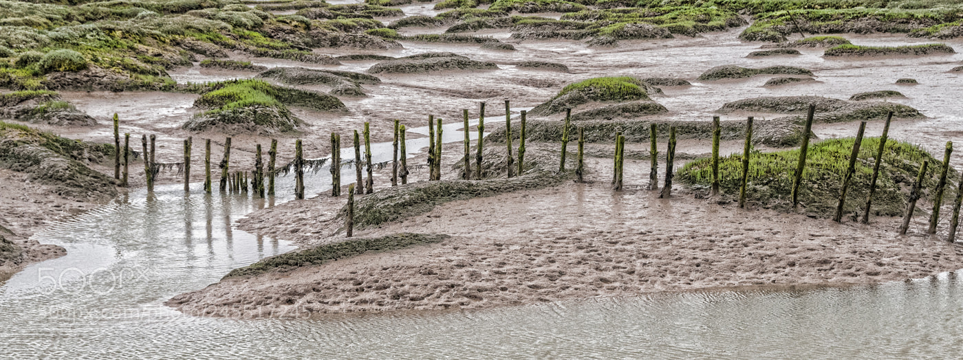 Nikon D300 sample photo. Tollsbury marshes photography