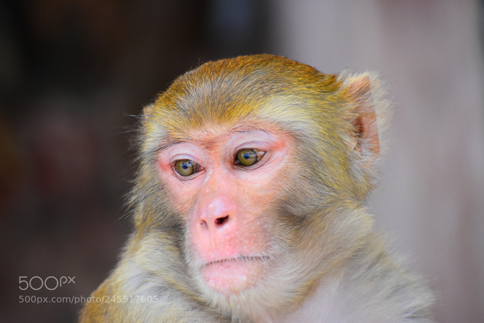 Nikon D3400 sample photo. R u pondering what photography