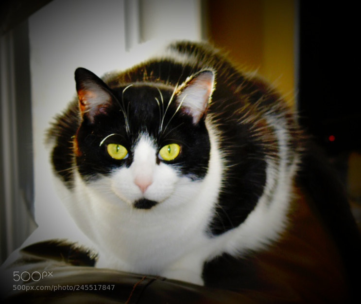 Nikon D3400 sample photo. Untitled photography