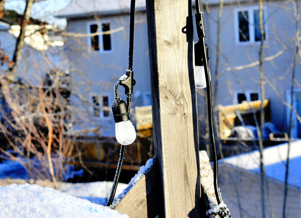 Nikon D3400 sample photo. Untitled photography
