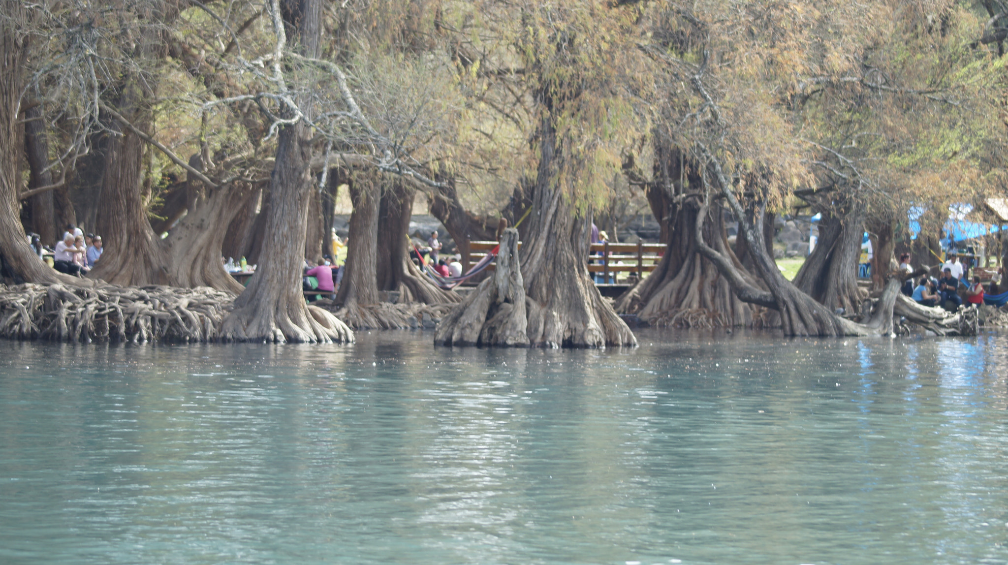 Sony 75-300mm F4.5-5.6 sample photo. Camécuaro photography