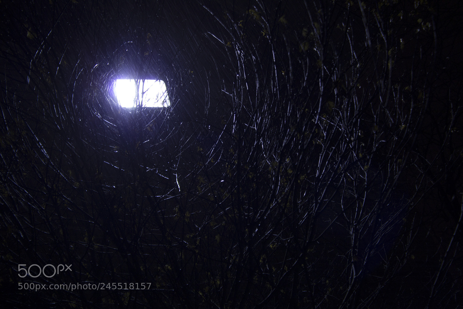 Canon EOS 1200D (EOS Rebel T5 / EOS Kiss X70 / EOS Hi) sample photo. Snow, circular branches, and photography