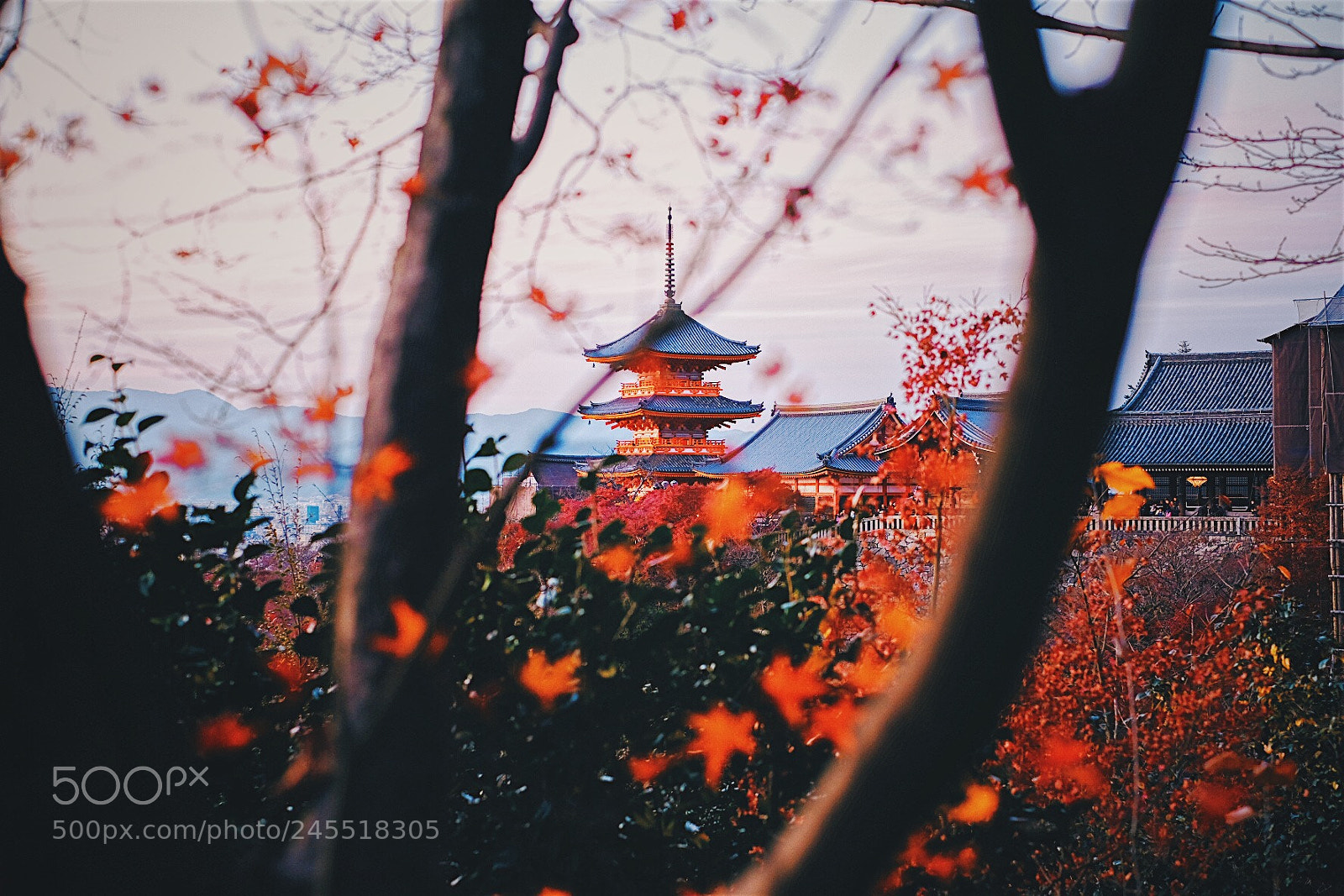 Fujifilm X-T2 sample photo. 秋の清水寺 photography