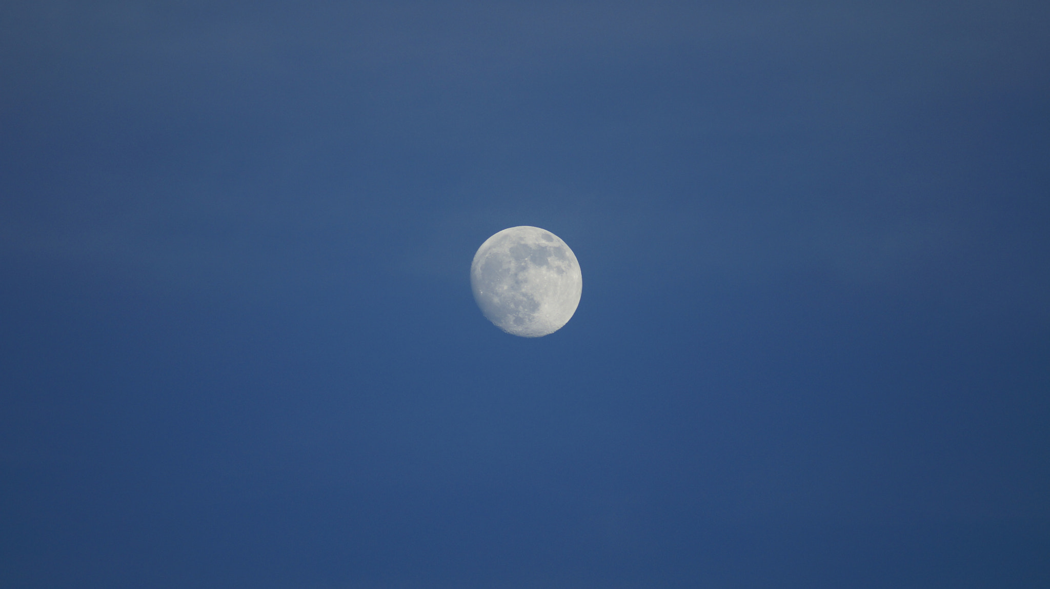 Sony 75-300mm F4.5-5.6 sample photo. Luna photography