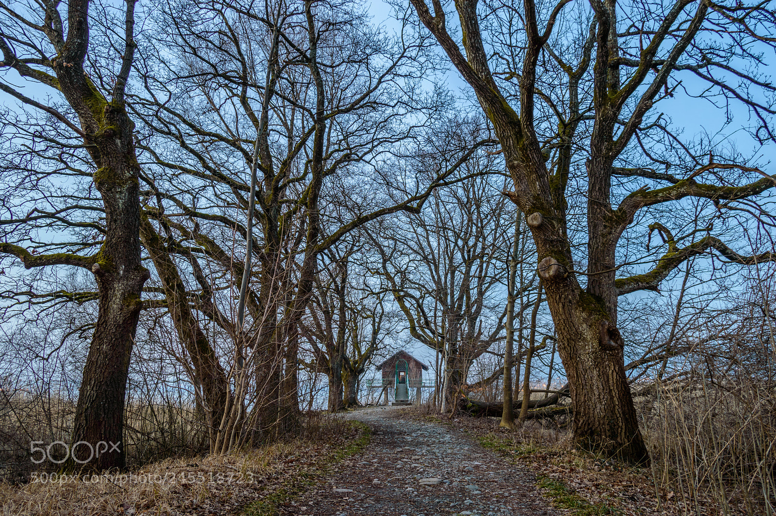 Nikon D3200 sample photo. Am see photography