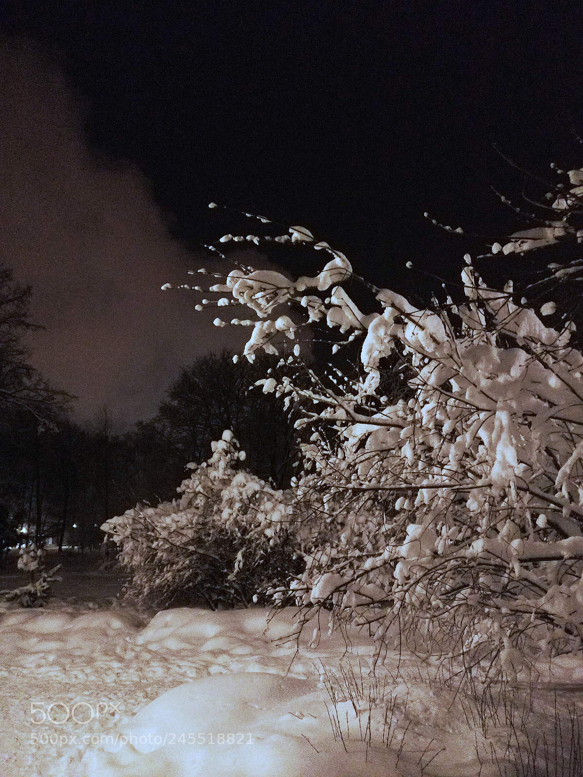 OnePlus A3003 sample photo. Snow-covered bush photography