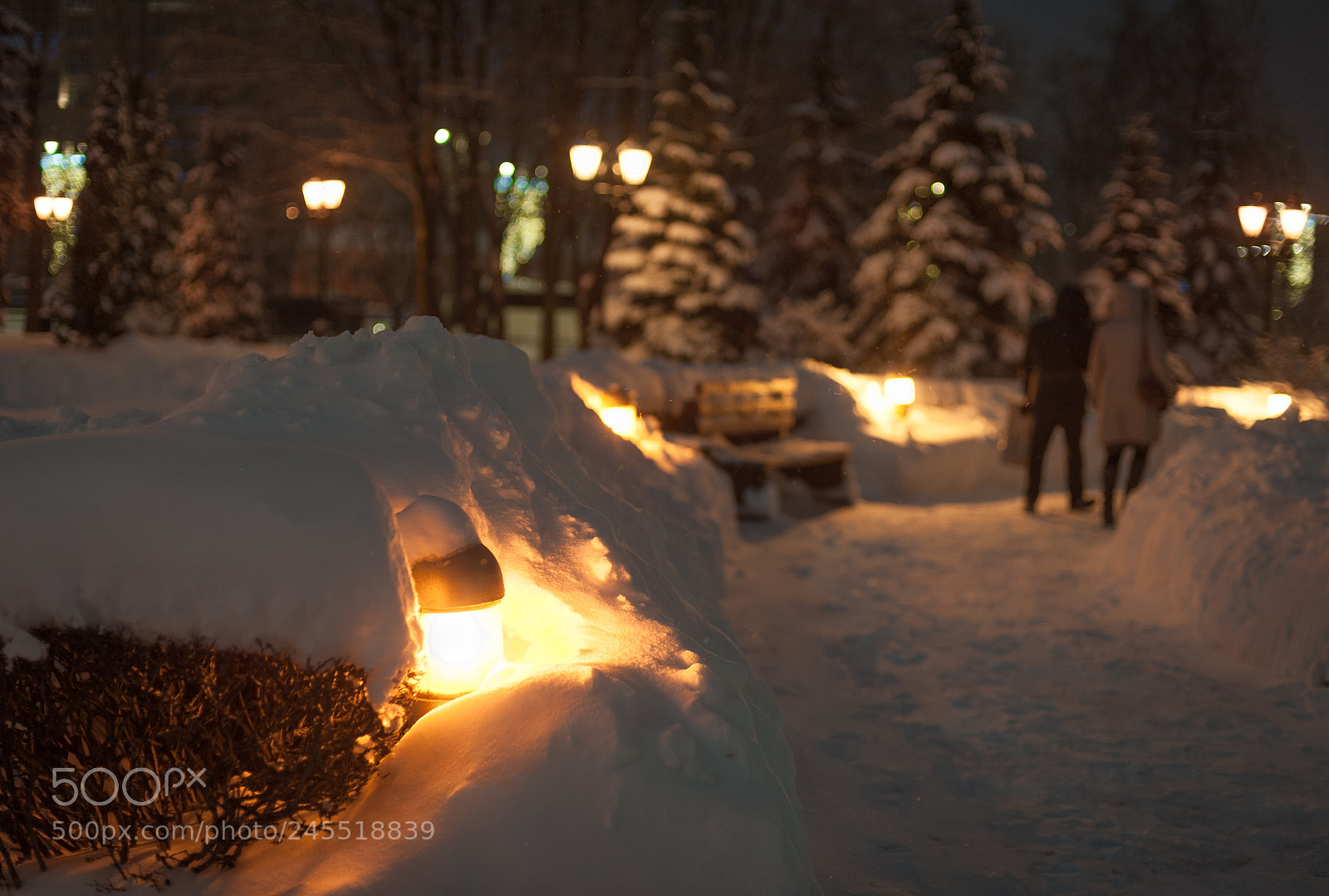 Nikon D700 sample photo. Зимний вечер photography