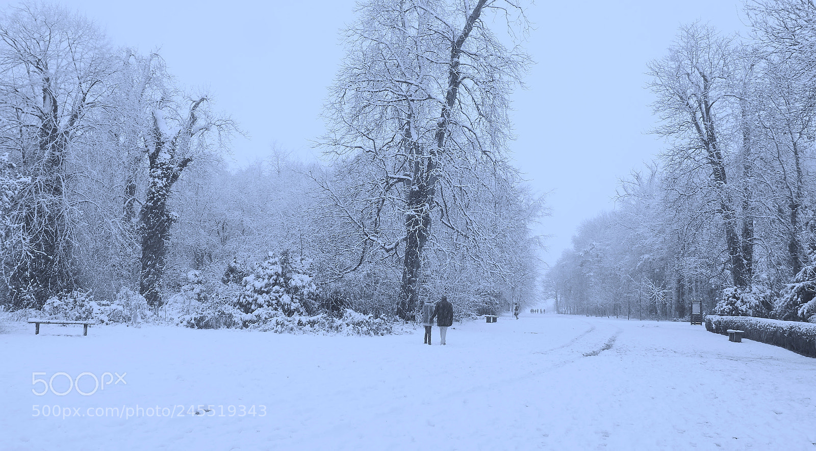 Sony Alpha DSLR-A380 sample photo. Strolling in the snow ... photography