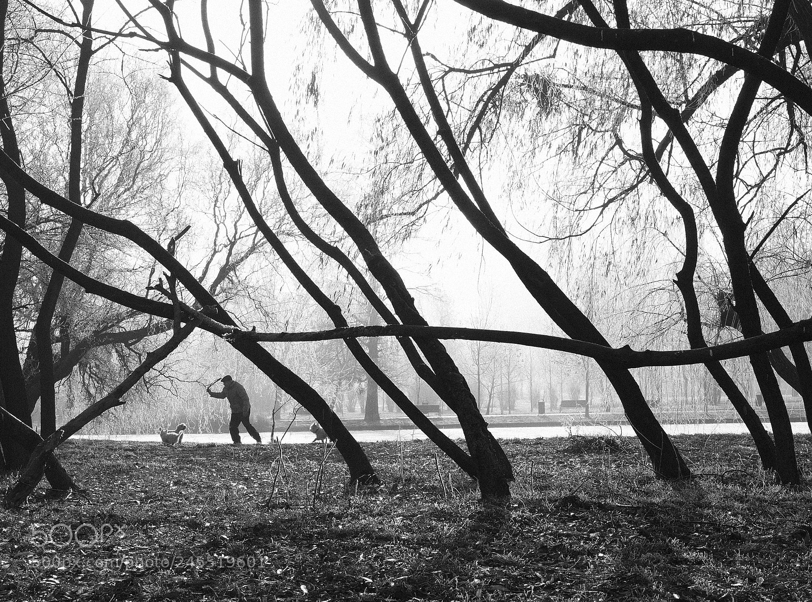 Sony Alpha NEX-5N sample photo. Nature complains photography