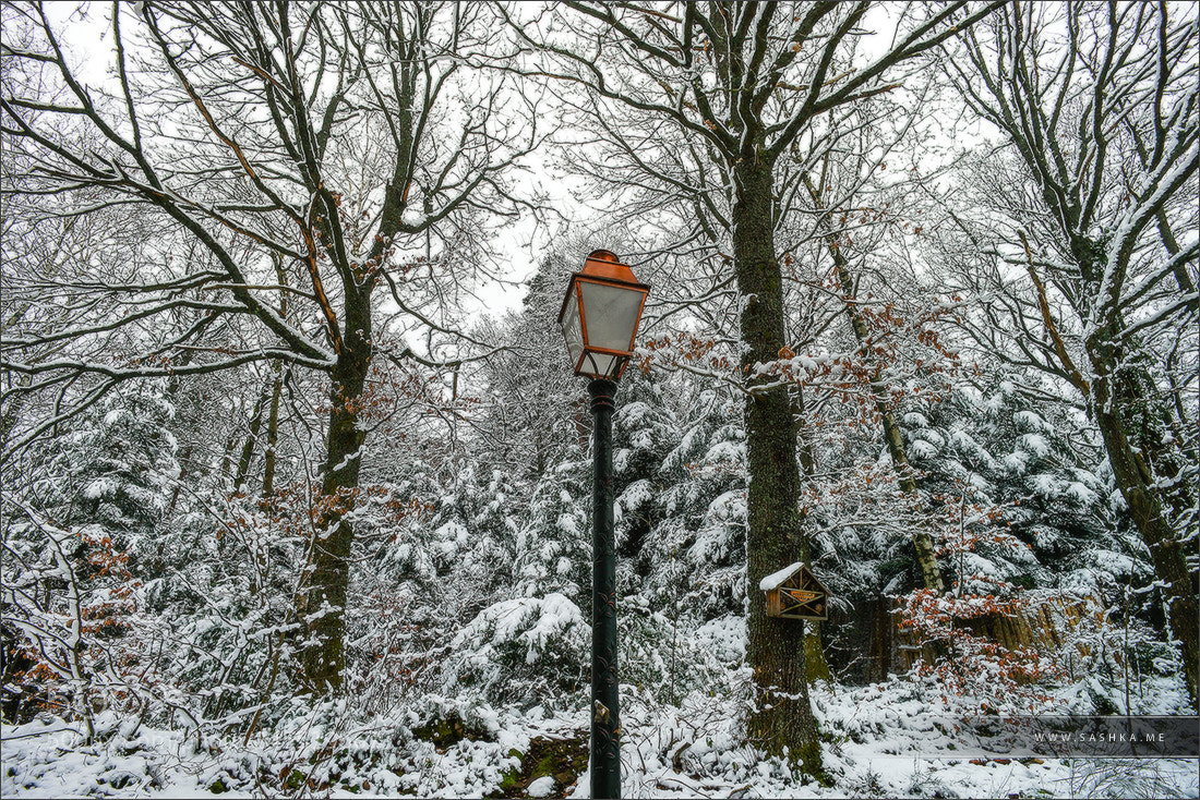 Sony a99 II sample photo. Golden street lamp in photography