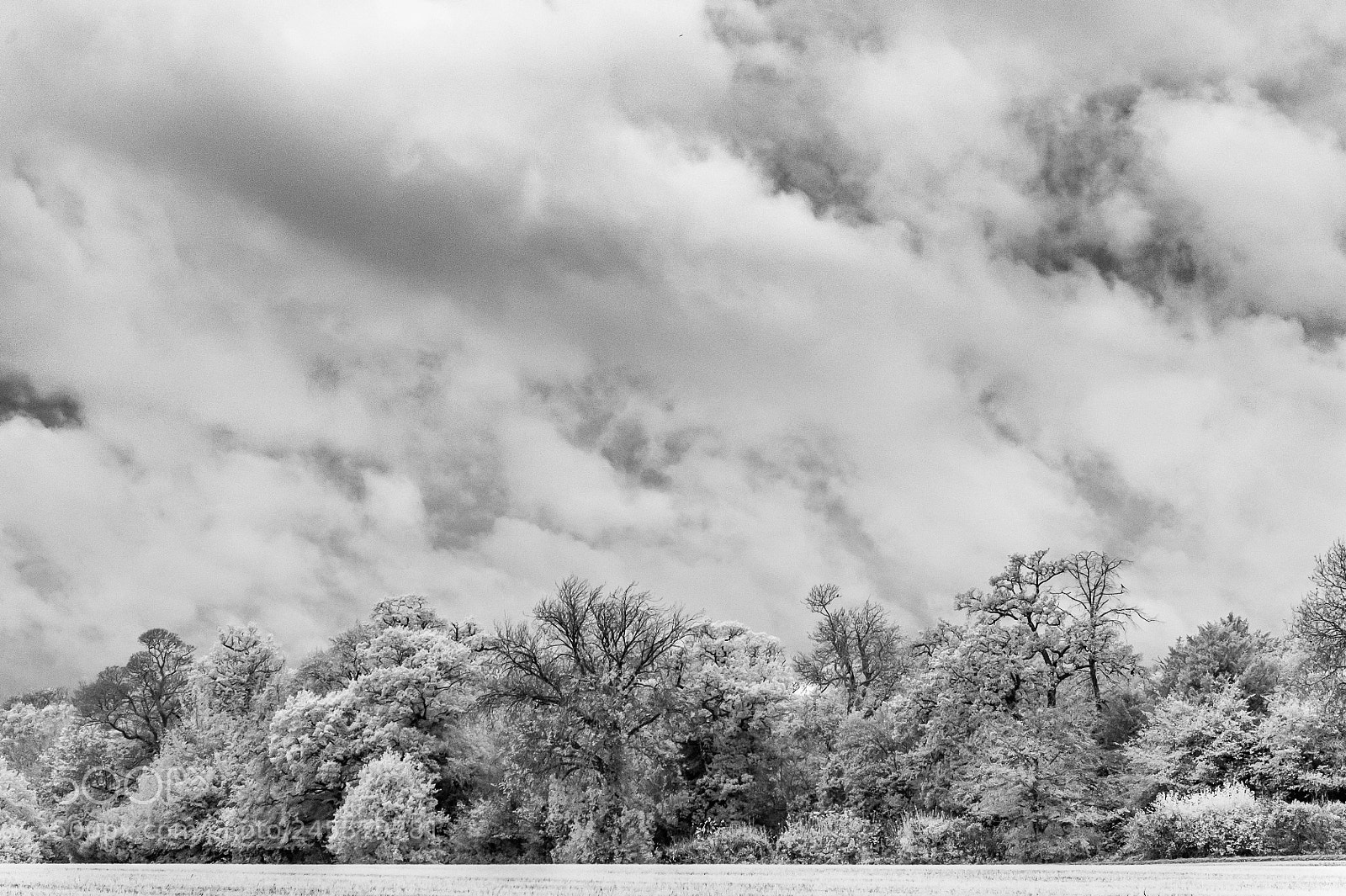 Nikon D700 sample photo. Chelsworth park photography