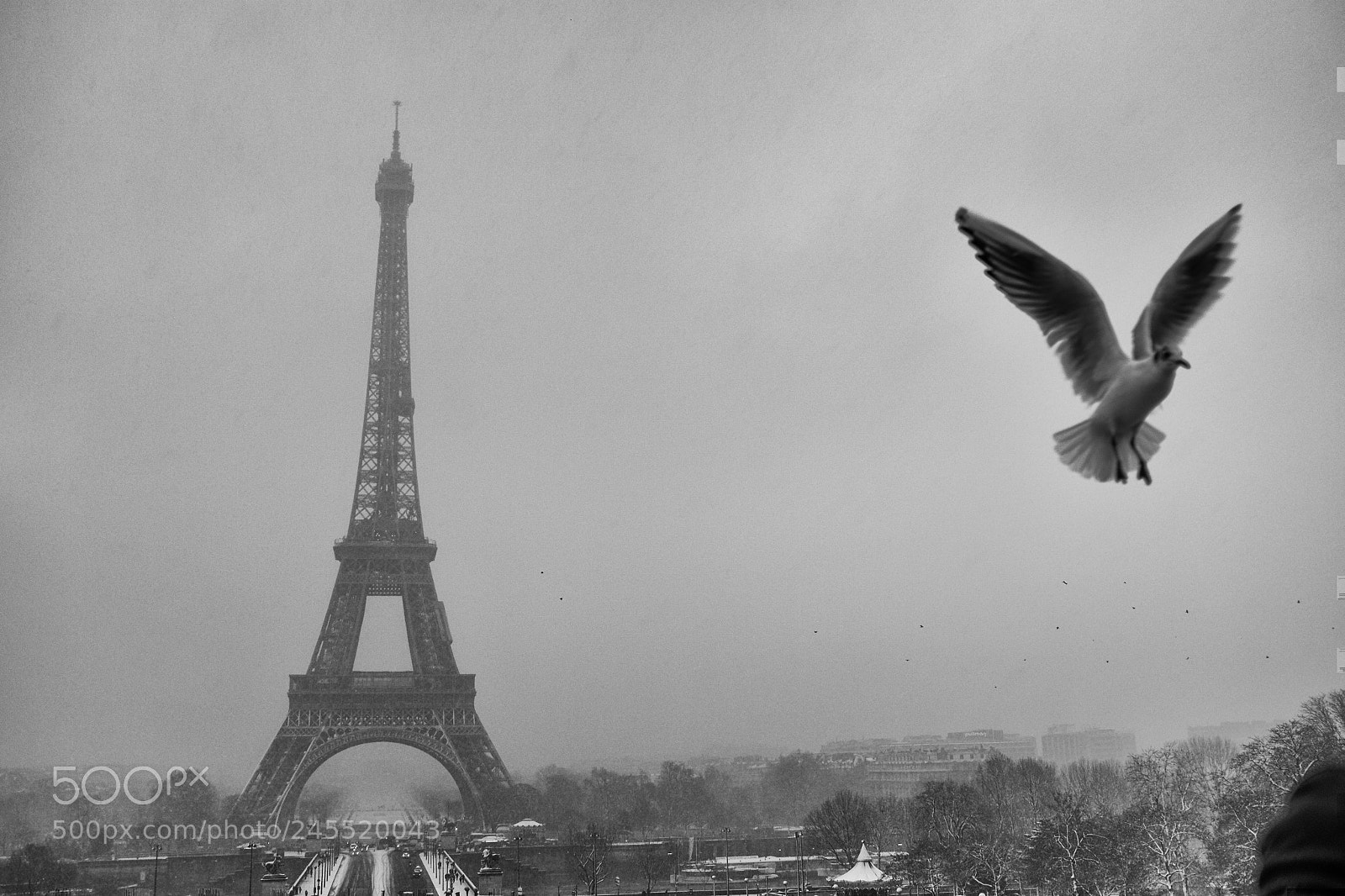Fujifilm X100T sample photo. Paris eiffel tower and photography