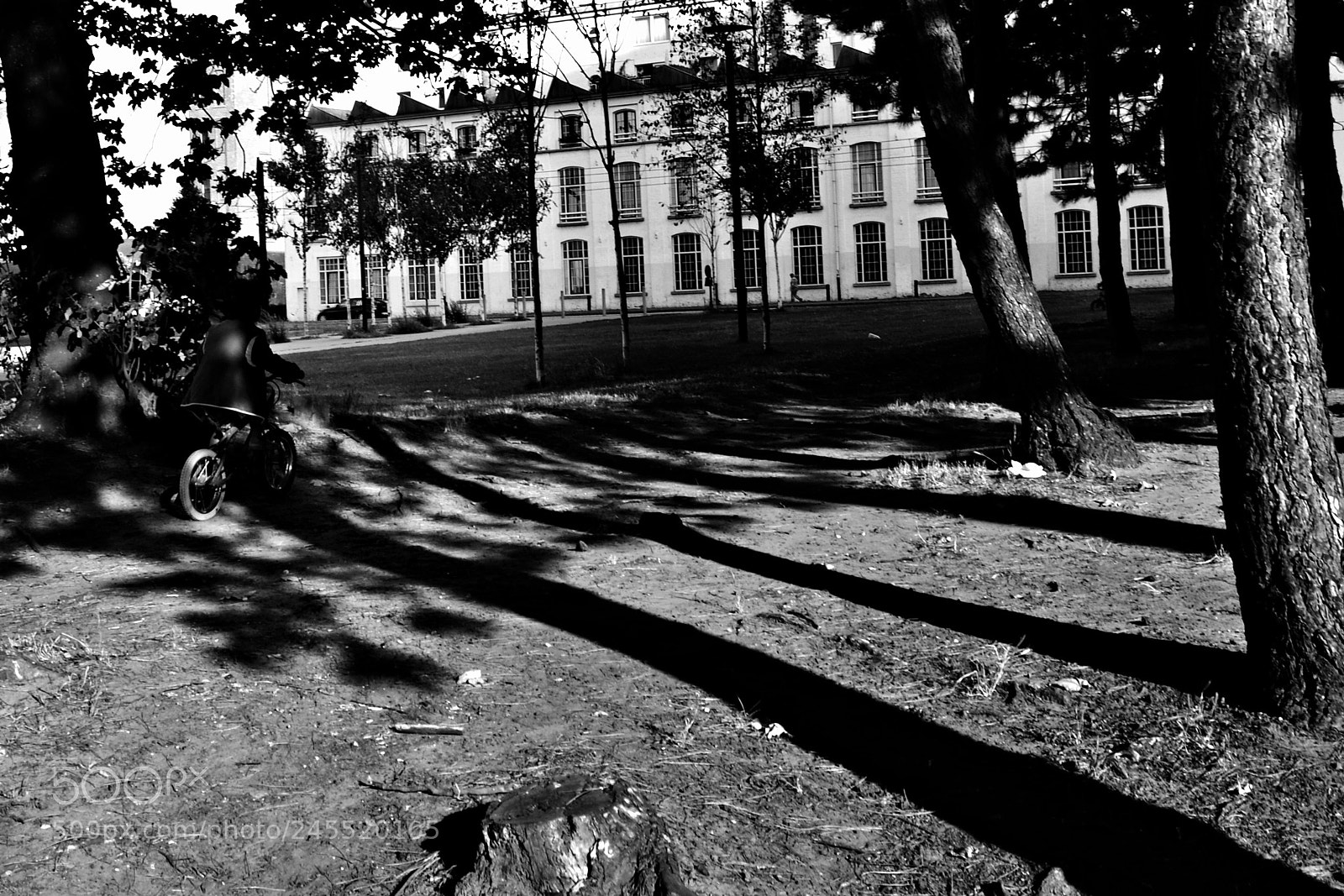 Nikon D3100 sample photo. The shadow is my photography