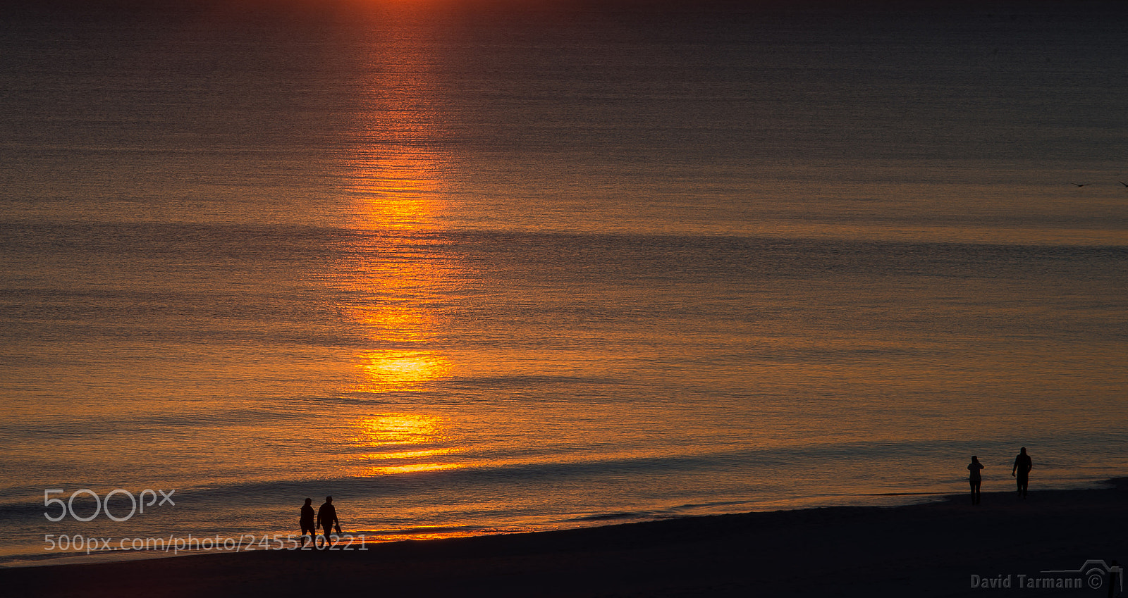 Nikon D800 sample photo. Silhouettes at sunset photography