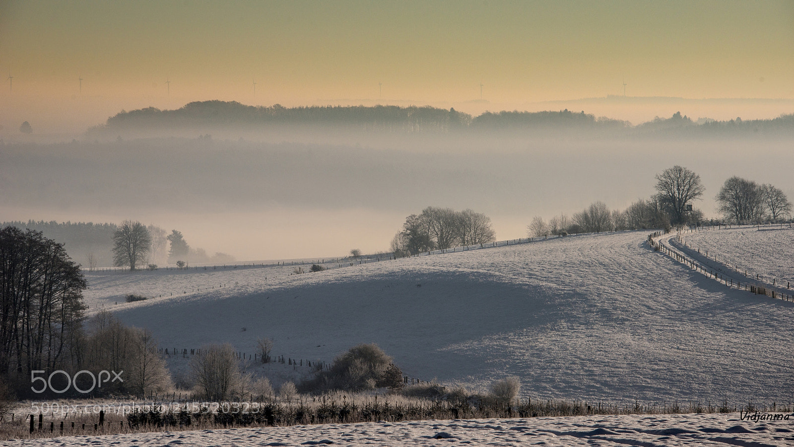 Nikon D610 sample photo. Misty sunset photography