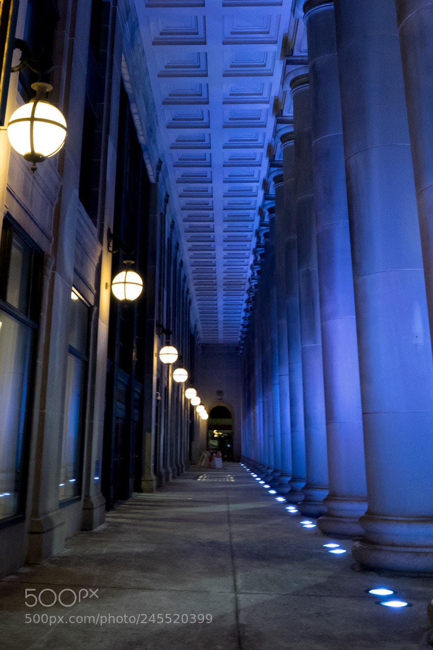 Sony a7 II sample photo. Blue light !! photography