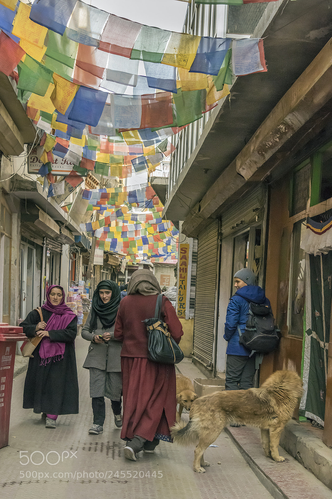 Nikon D810 sample photo. Street scene with prayer photography