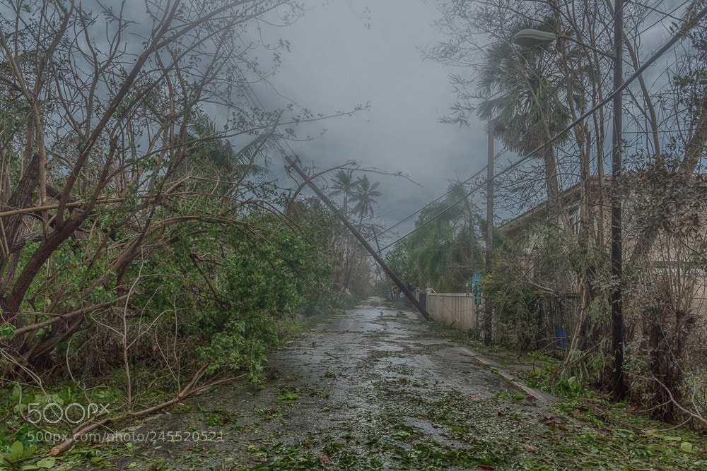 Nikon D810 sample photo. The day afternoon hurricane photography