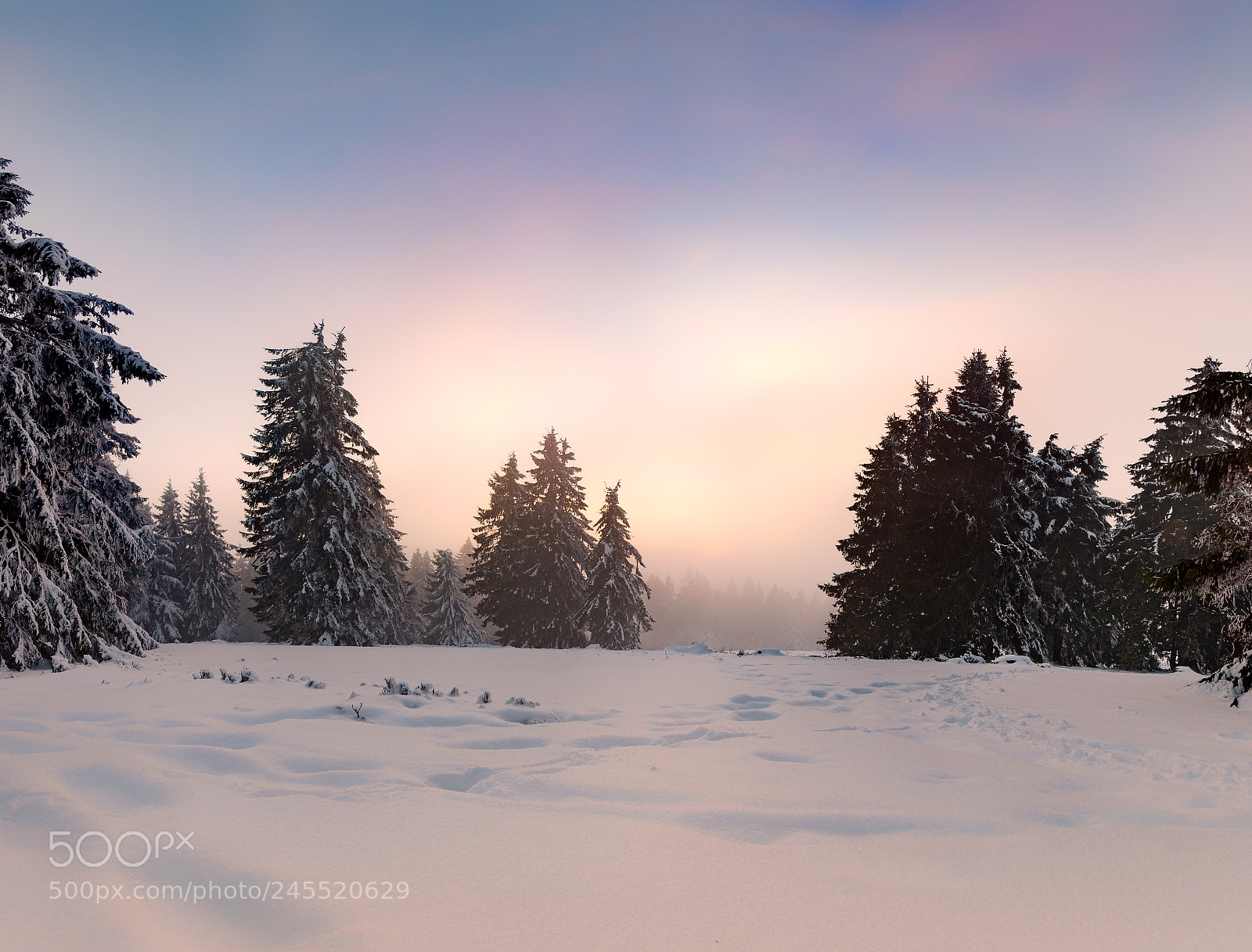 Nikon D5500 sample photo. Winter photography
