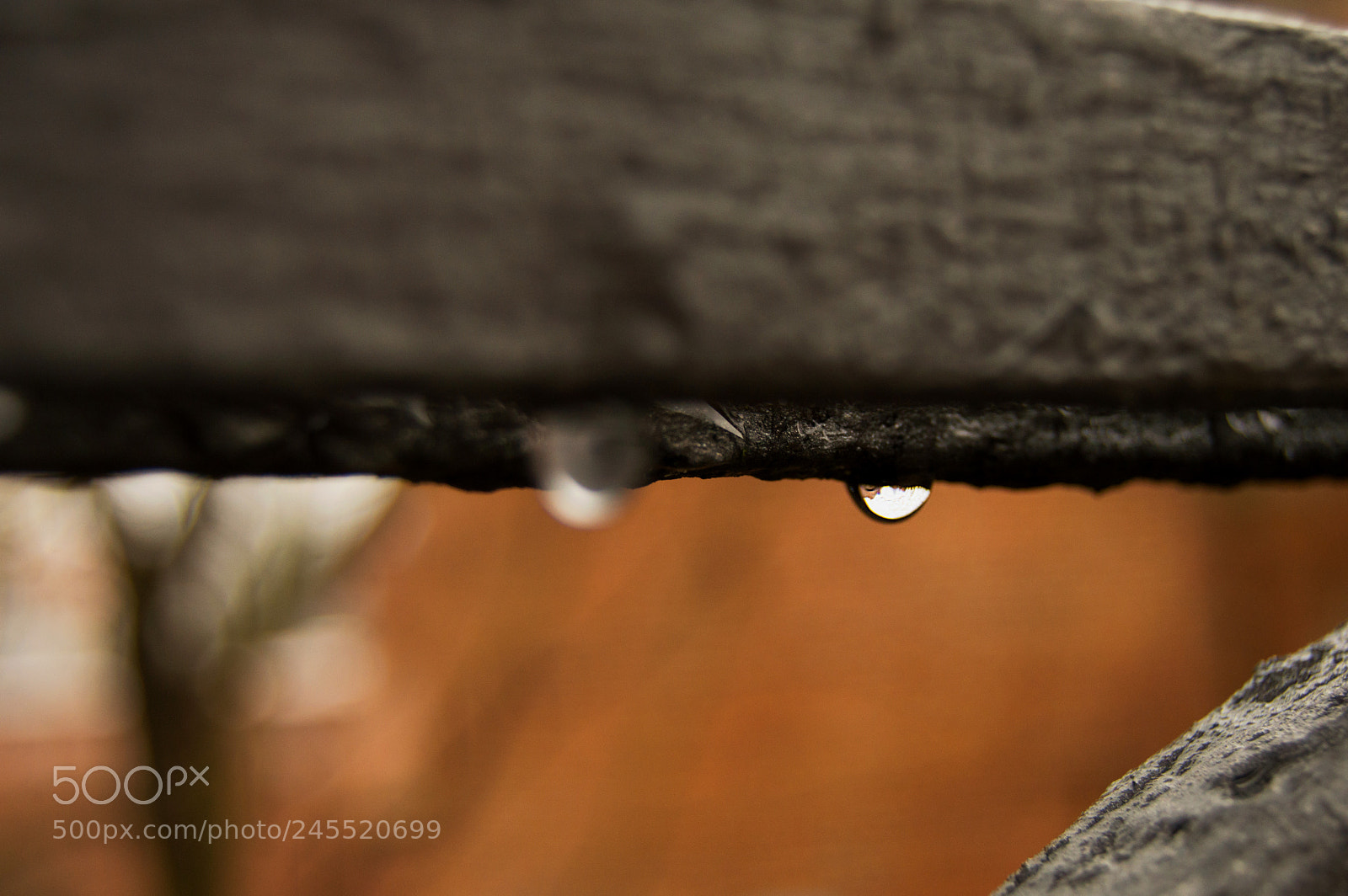 Nikon D3200 sample photo. Drop photography