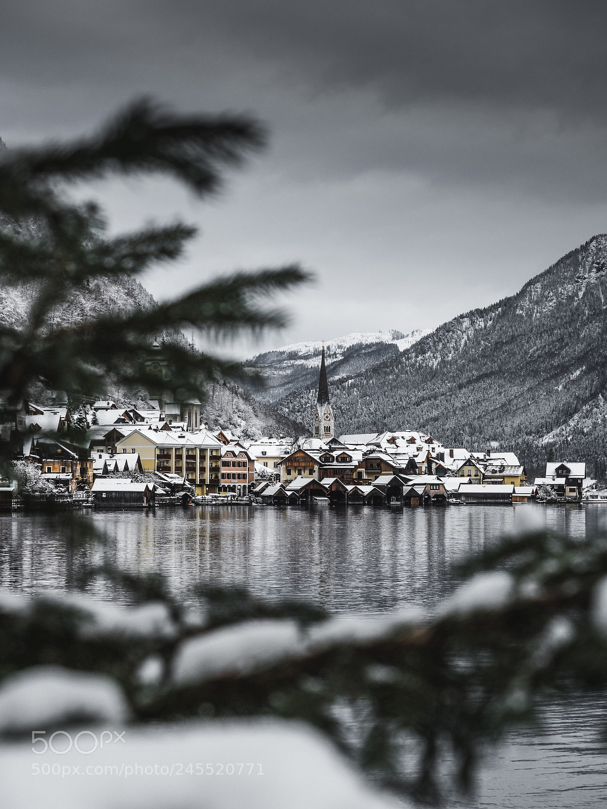 Olympus OM-D E-M5 II sample photo. Hallstatt trees photography