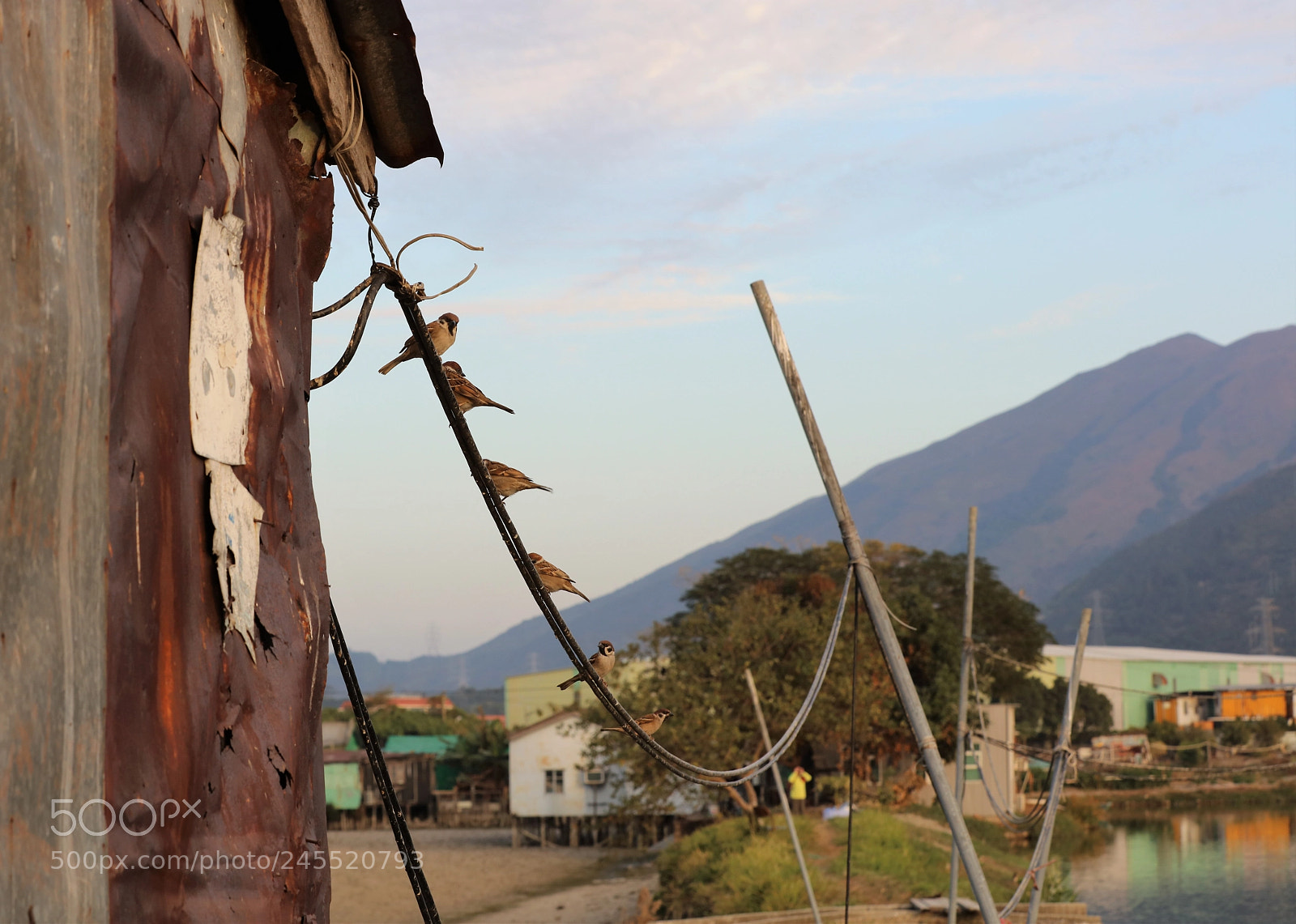 Canon EOS 5DS R sample photo. Do re mi fa photography