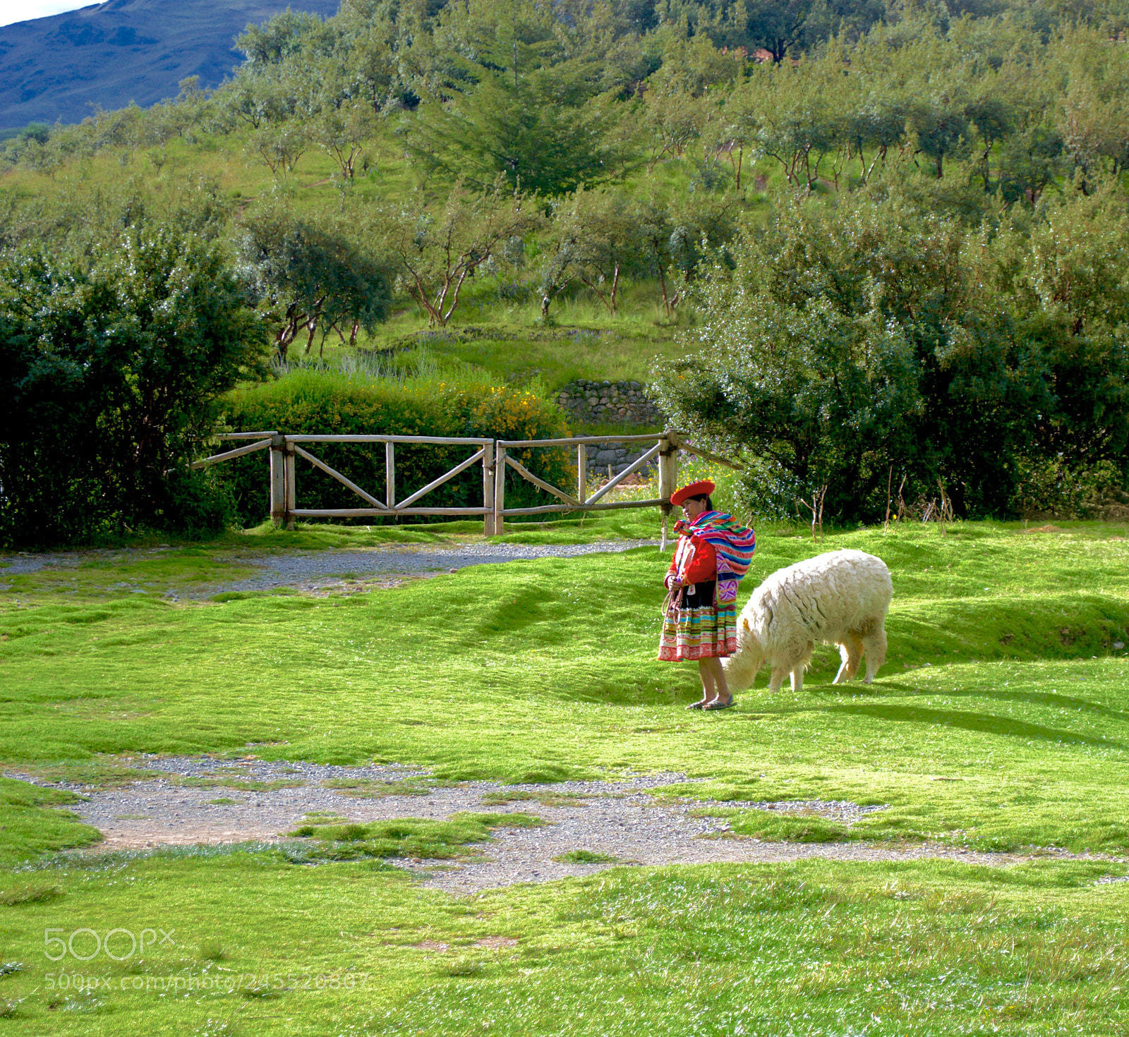 Nikon D3100 sample photo. Cusco, peru photography
