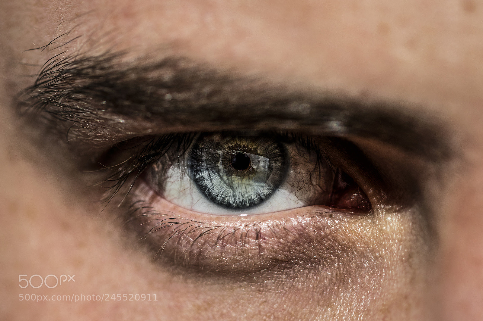 Canon EOS 7D Mark II sample photo. Toño photography