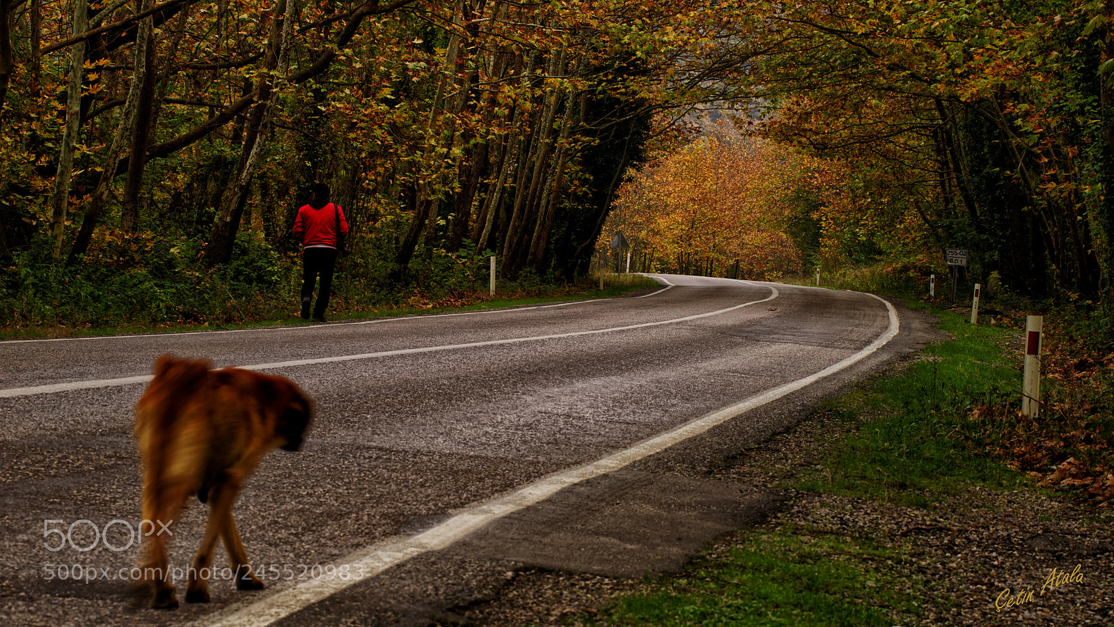 Sony a7R sample photo. Dsc photography