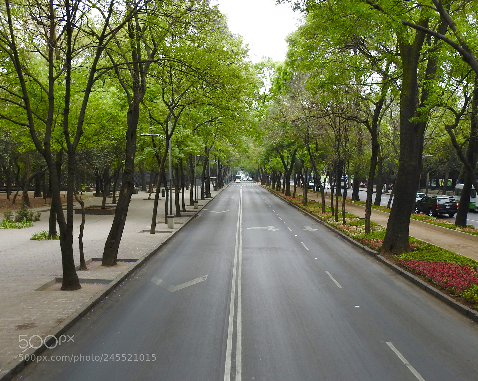 Nikon Coolpix P900 sample photo. Mexico city photography