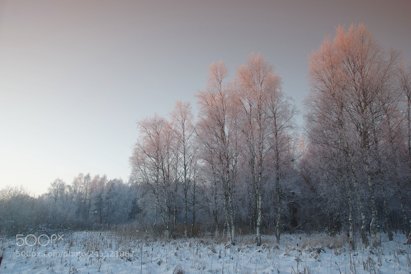 Pentax K-3 sample photo. Wintery photography